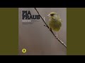 Mute the Birds (Ulrich Schnauss Version)