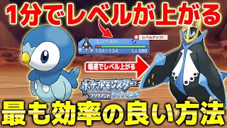 【ポケモンBDSP】初心者必見!! 爆速でレベルが上がる序盤で最も経験値効率の良い穴場スポットがヤバすぎるwww 爆速でレベルあがるｗｗ