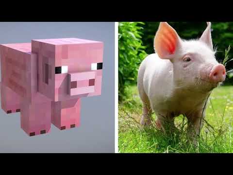 Minecraft's Real-Life Characters, Mobs, and More!