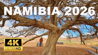 🇳🇦 NAMIBIA 2026 (1) MES AFRIKOJE! Juk pažadėjau įlipti į 45 kopą. Pažadus reikia pildyti :) #namibia