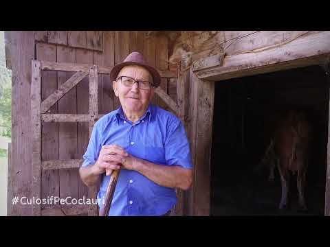 IN MEMORIAM: badea Niculae Belei (76 de ani), zâs ”Culiță” sau ”Moșu” din Vadu Moților,  jud. Alba