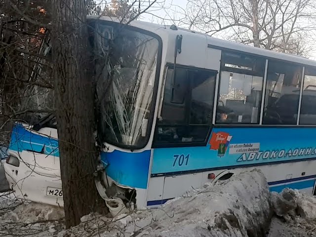 Помешало дерево