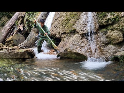 Surviving in the Wild, hunting fish with bamboo spears using primitive skills, green forest life