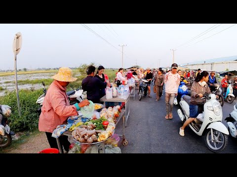 Early Morning Street Food, Cheap Breakfast, Snacks for Factory Workers, Countryside Market, & More