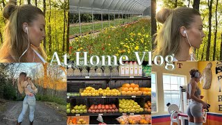 At Home Vlog | healthy habits, house updates, gym