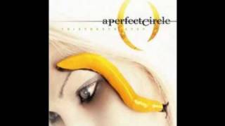 A Perfect Circle - Pet & Lullaby