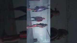 Download lagu Tik tok goyang anjing kacili challenge mp3 Download lagu Tik tok goyang anjing kacili challenge mp3