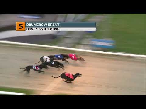 2021 SUSSEX CUP FINAL - T5 DRUMCROW BRENT