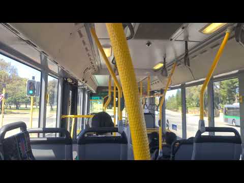 TP1918 Transperth Bus Mercedes-Benz Oc500le Cng Midi Sound (Epic Kickdown)