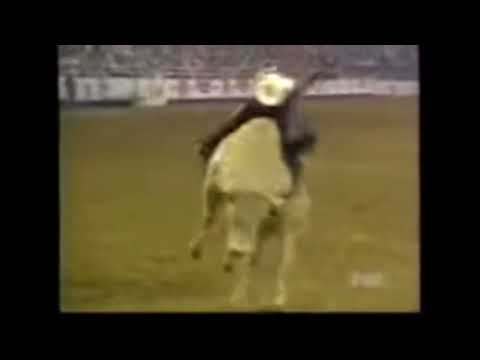 Terry Don West VS Bodacious 1994 Rodeo Houston