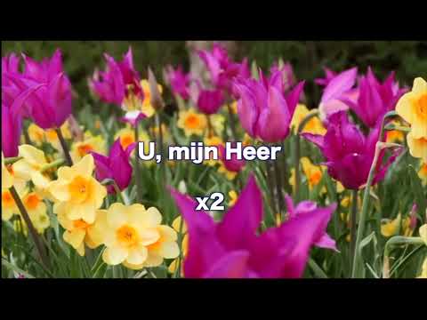 Opwekking 197 Heer, U bent wonderschoon