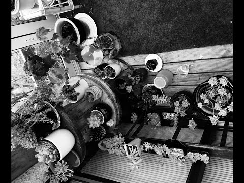 Week in Review with Doooovid - Episode 135 - 02-01-22