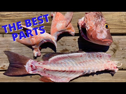 Outdoor Chef Life, Daniel Mann, Valentine Thomas,Lauren Sarasua and Aaron Young Talk best fish parts