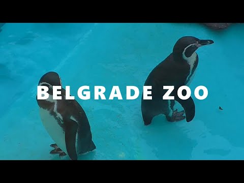 A visit at the Belgrade Zoo