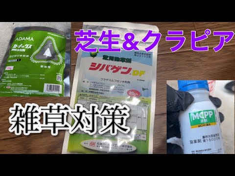 芝生の雑草と戦う トピックス