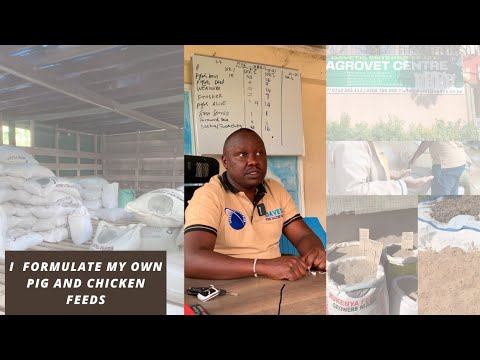 The biggest Pig Farm in Kenya.How I make my own Pig Feeds to maximize on profit. Part 2