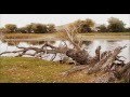 the Mountain Goats 'Pale Green Things' Uncommercial Video