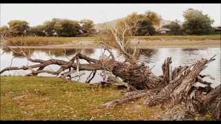 the Mountain Goats &#39;Pale Green Things&#39; Uncommercial Video