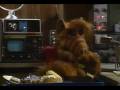 Blitzen Trapper - Saturday Nite [Apologia a ALF!!! xD]