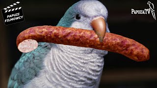 No Sausage for a Parrot