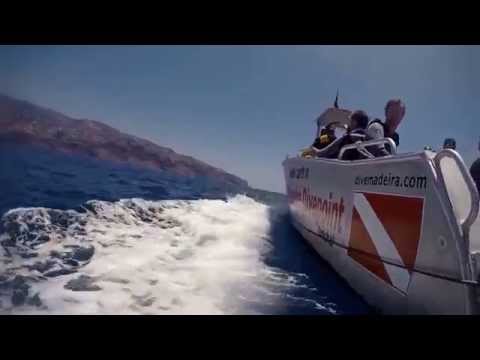 download lagu mp3 mp4 Divepoint, download lagu Divepoint gratis, unduh video klip Divepoint