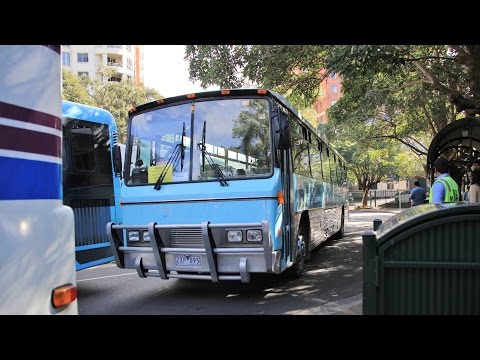 Pick Of The Crop Tours ZXP095 - Denning DenFlex [GM 6V53T/Allison]