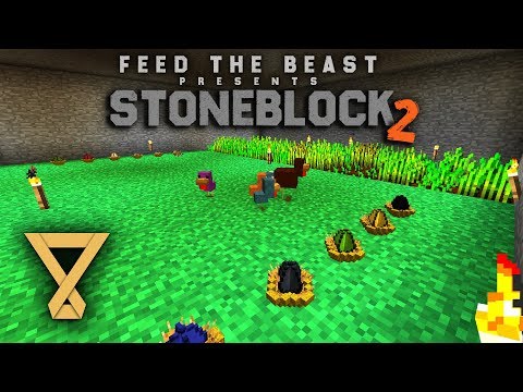 Wir brüten Hühner aus - FTB Stoneblock 2 #13 [Let's Play] [Deutsch] [German]