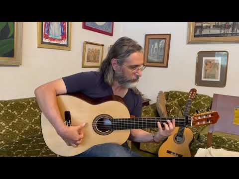 Lazarides Flamenca Negra Concert Guitar-Spruce/Indian Rosewood image 16