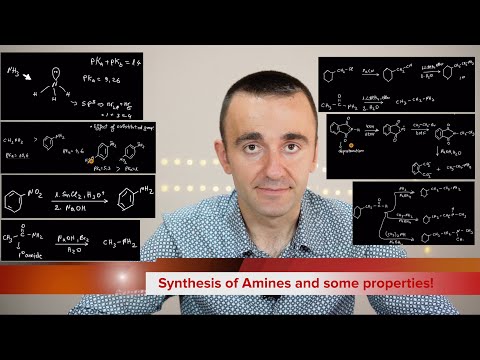 Synthesis and properties of Amines! With Timestams! 👌 #chemistry #organicchemistry #44