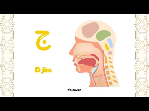 Comment Prononcer l’Alphabet Arabe ? Guide Audio et Visuel
