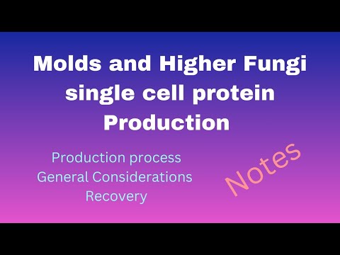 Molds and Higher Fungi single cell protein Production|Microbial Single Cell Protein|Microbiology