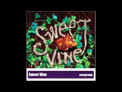 Sweet Vine - Evergreen