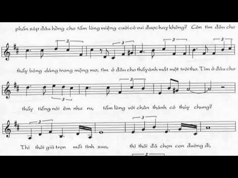 Bài không tên số 17 Sheet - Unknown