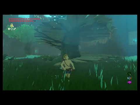 Guida la prova della spada parte iniziale