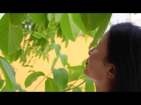 Pioneers of Marketing - Domu Antiga S version