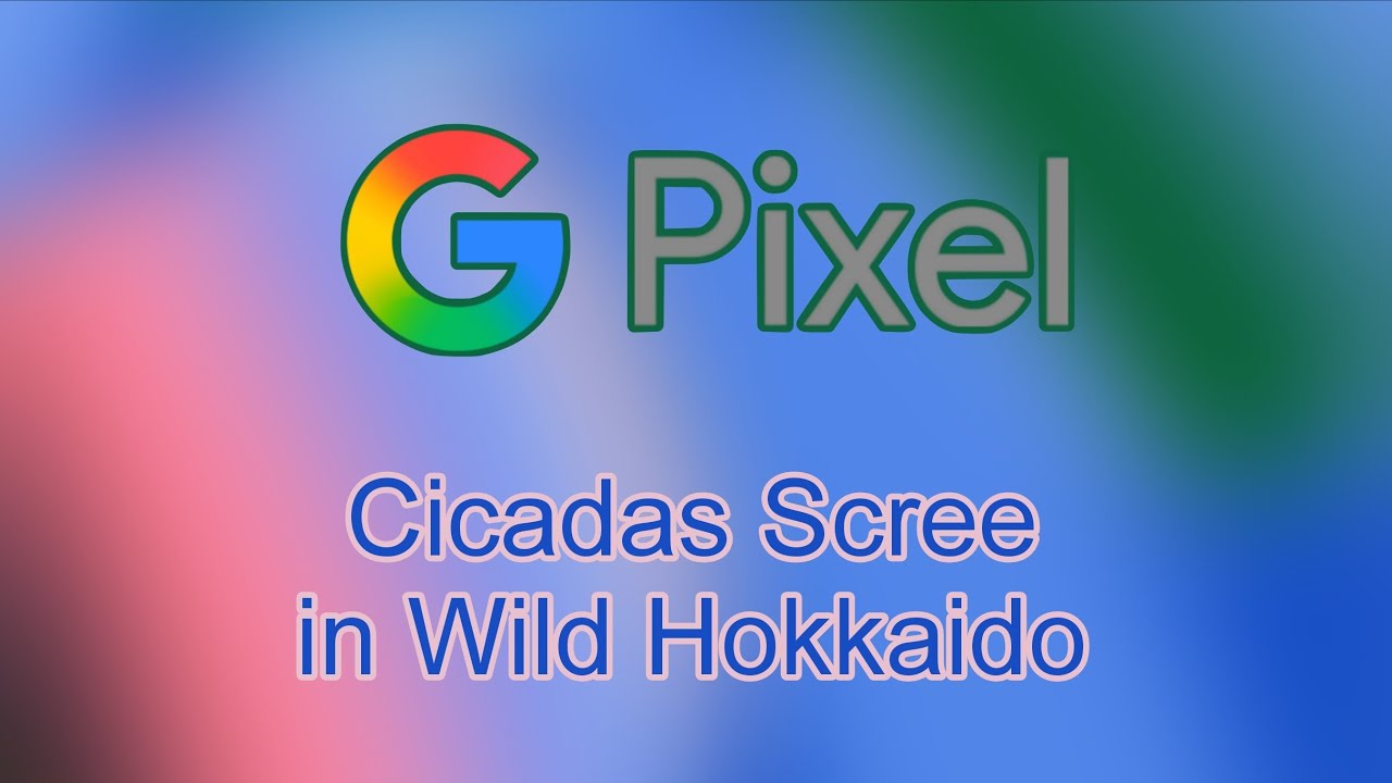 Cicadas Scree in Wild Hokkaido - Google Pixel (Android 16) (Sound Matters) Ringtone