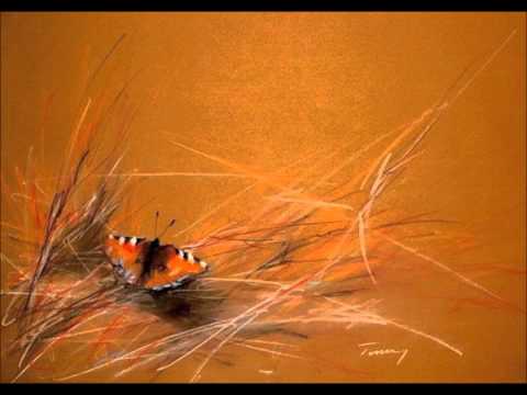 Mariposa de ilusión - Orquesta Típica Brunswick - Luis Díaz, 1932