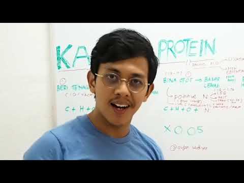 Berapa banyak waktu Anda bisa menurunkan berat badan dengan diet protein Kami berhenti akan penurunan berat badan bulanan