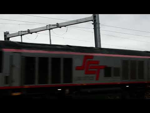 Freight Train (6MP9)