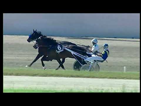 Napoli Trotto 20/05/2022 - 5ª corsa