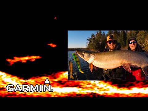 LiveScope Musky Jigging (Garmin Panoptix)