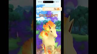 ▶️ Rapidash Shadow Low Kicks 🎠🔥| Competitor Cup | #pokemon #pokemongo #pokemoncards #pokemontcg
