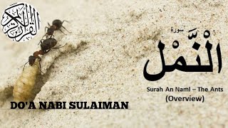 Download lagu MUROTTAL QUR'AN MERDU SURAH AN-NAML || Do'a Nabi Sulaiman Menundukkan Hewan & Jin mp3