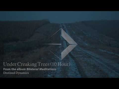 10 Hour Bilateral Stimulation - Anxiety, Stress Relief - Under Creaking Trees