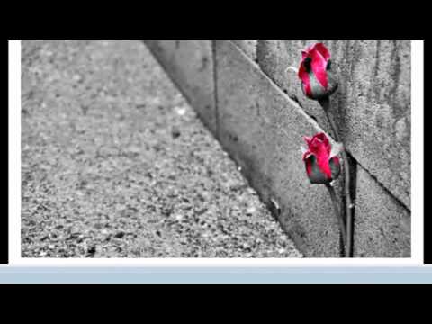 Love Is Pain | J-Verse x Oso Santana