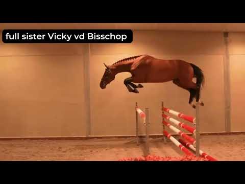 volle zus Vicky vd Bisschop