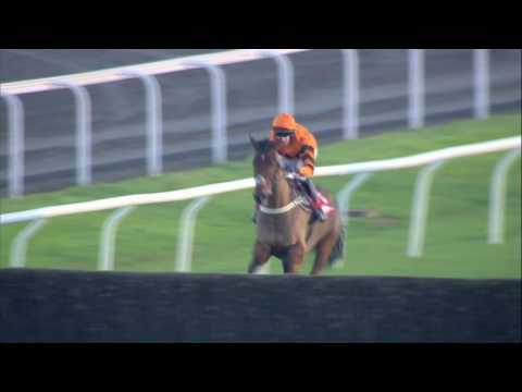2016 32Red King George VI Chase - Thistlecrack - Racing TV
