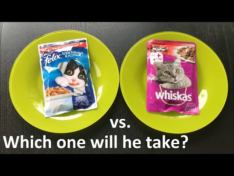 PET FOOD BATTLE 🍖 WHISKAS vs. FELIX 😺 Which one does CAT VISKAS take?