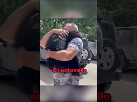 Ce Singe se Met à Pleurer... Magnifique 😢