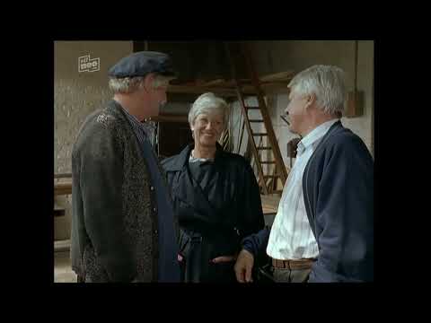 Die Wicherts von nebenan - F41 Ein neuer Anfang